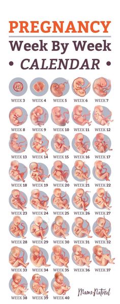 the baby's week calendar is shown with pictures of their newborns and babies