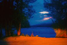 an oil painting of trees and water at night