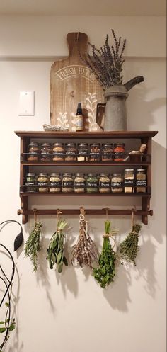 herbs are hanging on the wall next to a shelf