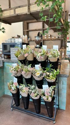 there are many potted plants on display in the store