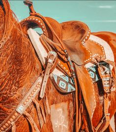 a close up of a saddled horse's bridle