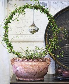 a potted plant sitting on top of a wooden table next to a metal ball