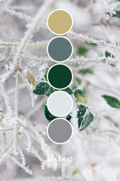 Ice and Leaves Colour Palette

by Lilybug Graphic Design at www.lilybugdesign.co.nz. Free prints, SVG's, colour palettes and activities! Graphic Design Services as well. Check out our Etsy store! Colour Wall, Color Design Inspiration, Paint Color Inspiration, Pallet Painting, Design Seeds, Color Palette Design, Color Balance, Leaf Coloring, Colour Board