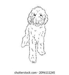 a black and white drawing of a dog on a white background royalty image stock illustration