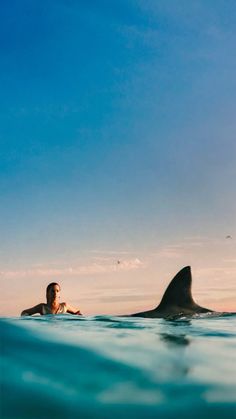 a man swimming in the ocean next to a shark