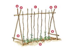 an illustration showing the parts of a garden trellis and how they are used to build it