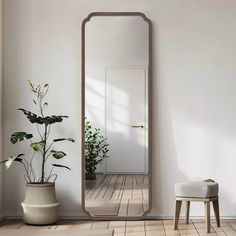 a large mirror sitting on top of a wooden floor next to a potted plant