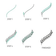 the step by step instructions for how to draw leaves