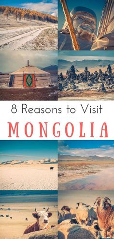 the collage shows different views of mountains and deserts with text that reads 8 reasons to visit mongolia