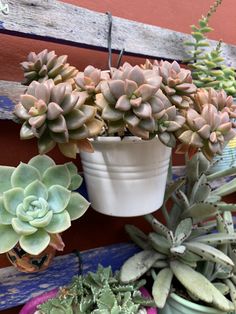 several succulents are arranged in pots on a bench