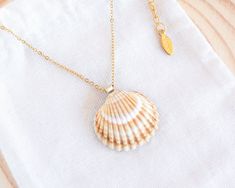 The shimmering gold stainless steel chain is adorned with a beautiful sun-kissed Mediterranean Cockle Shell found by me in Algarve, Portugal. 🐚 ☀️  These Mediterranean Cockle Shells are the most sunny shells you can find in Portugal.  Experience the charm of Portugal's coastline with the new collection Seashell Stainless Steel Necklaces featuring a handpicked shell from the beaches of Portugal.  Each necklace is unique and it embodies the magic of the ocean and the stories it holds.* 🌊🐚   Whe Cockle Shells, Seashell Necklace, Algarve Portugal, Makeup Makeover, Shell Necklace, Shell Art, Pendant Rings