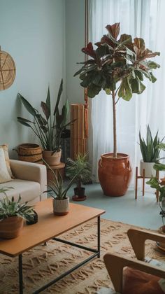 a living room filled with lots of potted plants