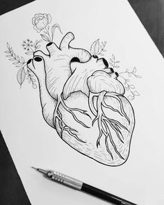 a drawing of a human heart with flowers and leaves on the side, next to a pen