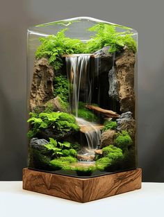 an aquarium with rocks, water and plants in it on a wooden stand next to a gray wall