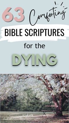 the title for 53 comforting bible scripturess for the dying, with an image of a tree