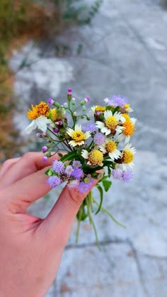 a hand holding a bunch of wildflowers in it's left hand on a sidewalk