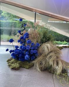 blue flowers and grass on the ground in front of a glass wall with an awning