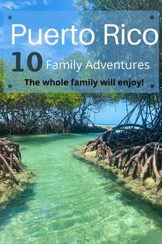 the puerto rico family adventures with text overlay that reads 10 family adventures, the whole family will enjoy