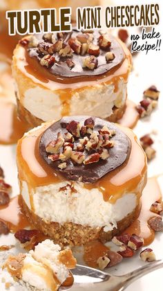 two cheesecakes with pecans on top and the words turtle mini cheesecakes above them