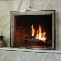 a fire burning in a fireplace next to a potted plant