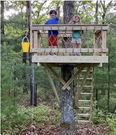 two children standing on the top of a tree house