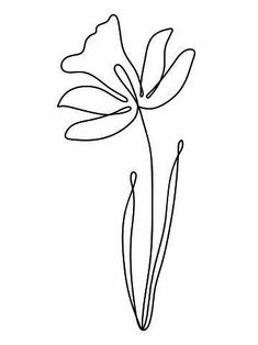 the outline of a flower on a white background