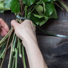 Hand Tied Bridal Bouquet, Hand Tied Bouquet, Flower Tutorial, Bridal Bouquet, Wedding Flowers, Herbs, Green, Flowers, Plants