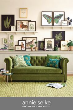 a green couch sitting in front of a wall filled with pictures and plants on it