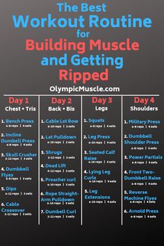 the best workout routine for building muscle and getting ripped