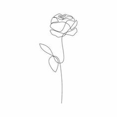 a single line drawing of a rose