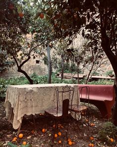 an old table and some chairs under the trees