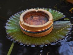 a wooden bowl sitting on top of a leaf in the middle of a pond with water