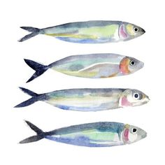 three fish with different colors are shown in this watercolor painting on the white background