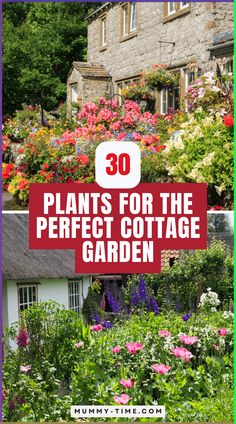 the words 30 plants for the perfect cottage garden in front of a house with flowers