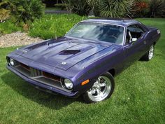 a purple muscle car parked in the grass