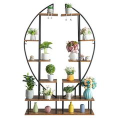 a round shelf with potted plants and vases on it, against a white background