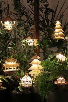 many lights are lit up in the night sky above some plants and trees with umbrellas on them