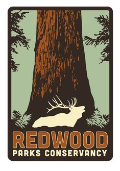 the logo for redwood park's conservancy is shown in front of a large tree