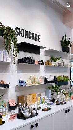 a store with shelves filled with different types of skin care products and plants on the wall