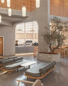 an empty waiting area with benches and tables in the center, next to a potted tree