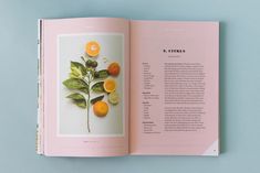 an open book with oranges and leaves on it