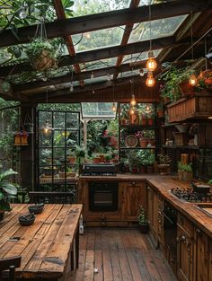 a kitchen with wooden floors and lots of plants