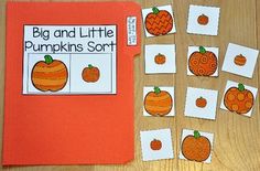 an orange book with pumpkins cut out on it and matching cards to match them