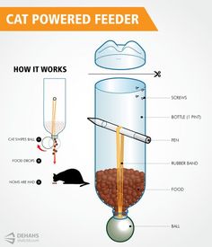 a diagram showing how to make a cat powered feeder with catsnip and water