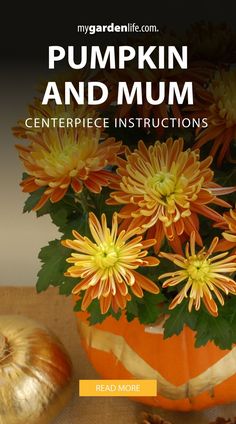 pumpkin and mum centerpiece instructions for the garden life magazine, fall 2013 issue cover