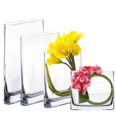 three clear vases with flowers in them on a white background, one is filled with water