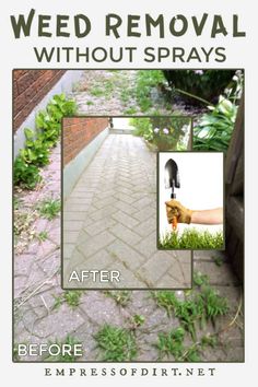 the before and after image shows how to remove weeds from your lawn or walkway with spray