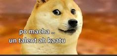 an image of a dog with the words po macha un talent akatau