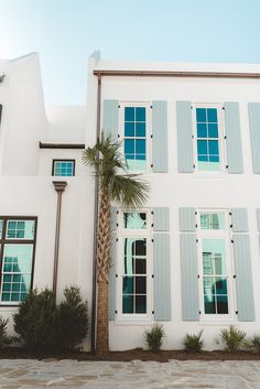 a white building with blue shutters and palm tree