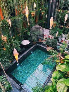 an outdoor pool surrounded by plants and hanging lights